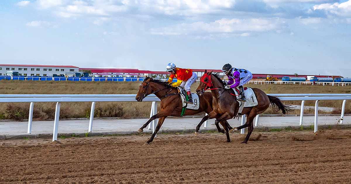 Discovering Messi Turf 12: Thrilling World of Horse Racing